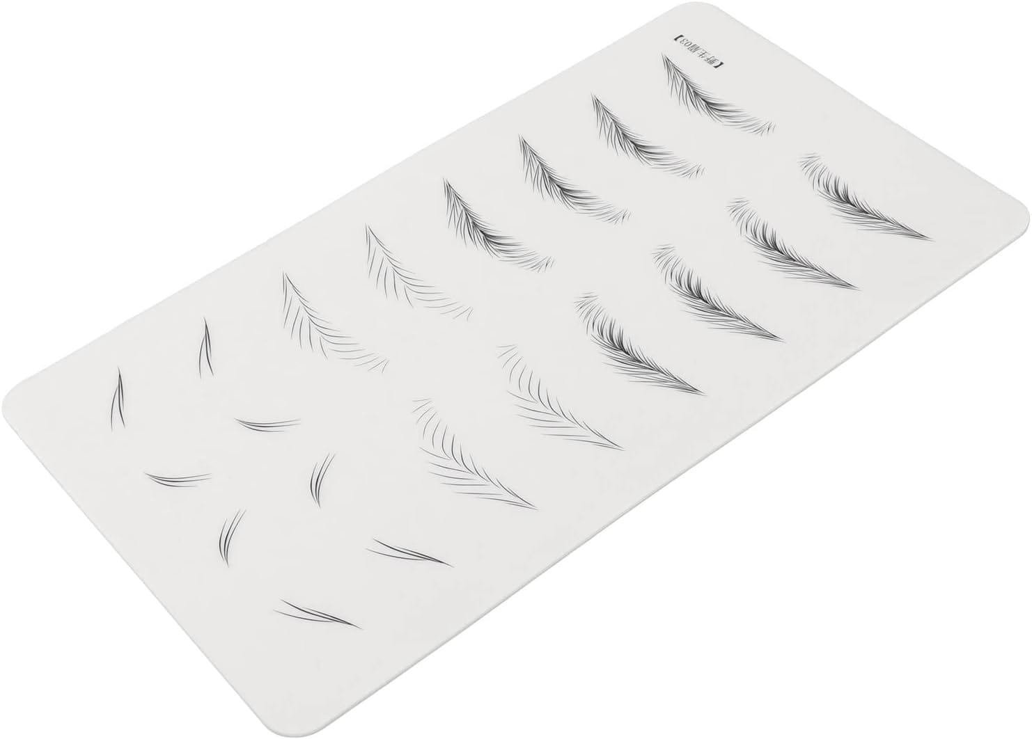 Eyebrow Tattoo Training Skin
