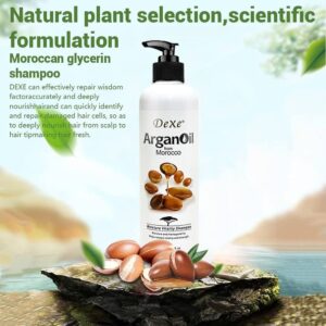 DeXe Moroccan Argan Oil Moisture Vitality Shampoo – 400ml