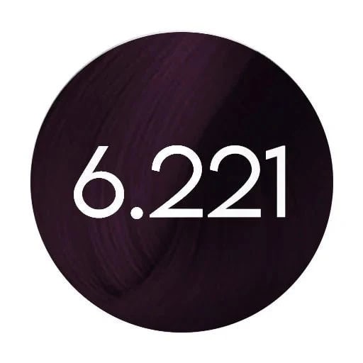 صبغة شعر فارمافيتا لايف كلر بلس ١٠٠مل – 6.221